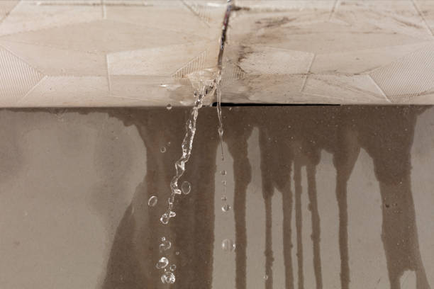 Professional Structural Drying technician working in Amelia, OH